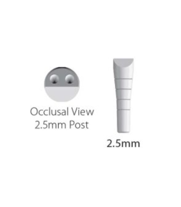 POSTES DIG. ESCANEABLES 2.5mm