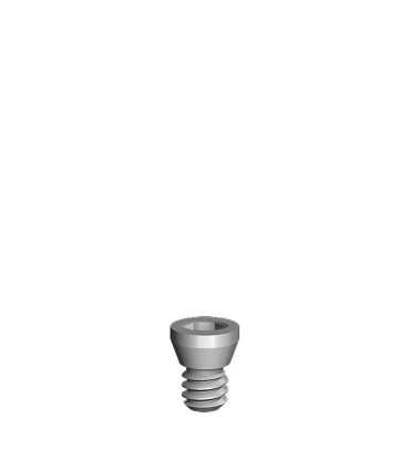 HEX RETENTION SCREW