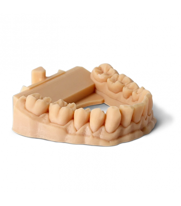 Resina Phrozen Dental Model Beige Water Washable 1kg