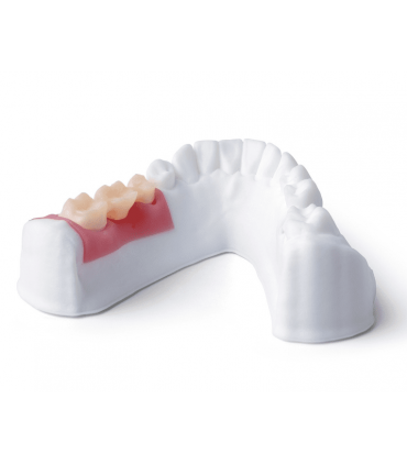 Resina Phrozen Gingiva Mask - 0.5kg