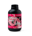 RESINA PHROZEN GINGIVA MASK 500G